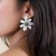 FRANCK HERVAL Clips Marguerite.
