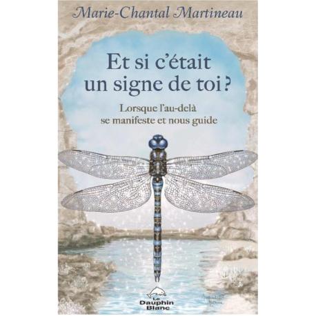 ET SI C'ETAIT UN SIGNE DE TOI ET SI C'ETAIT UN SIGNE DE TOI