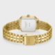 CLUSE Montre Femme Gracieuse Petite.