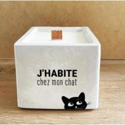 TOUT EST DIT Bougie J’habite chez mon chat.