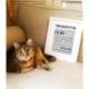 TOUT EST DIT Ton Chat et toi.