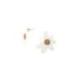 FRANCK HERVAL Boucles d’oreilles Marguerite.