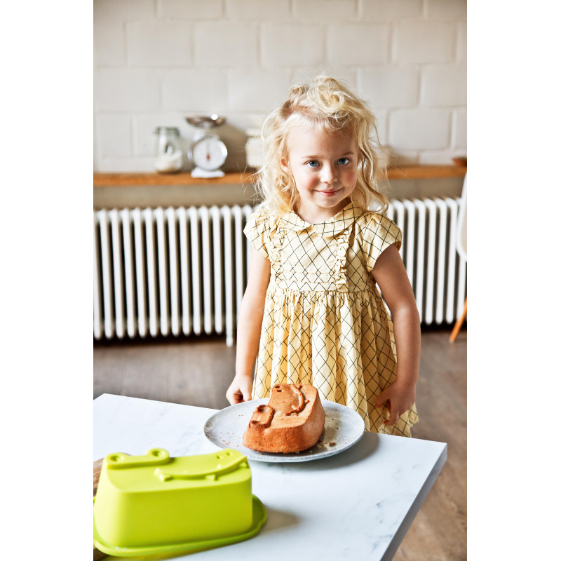 Des 4 Ans Le Chef Realise Un Cake Avec Le Moule Anatole En Silicone Des 4 Ans Le Chef Realise Un Cake Avec Le Moule Anatole En Silicone